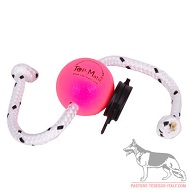 Fun Ball Puppy Super Soft rosa diam.5,8 cm con clip nera e corda